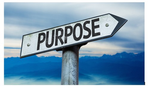 Determining The Purpose ​